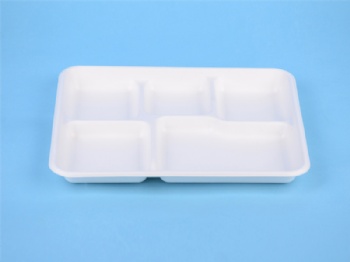 sugarcane made plate/tray