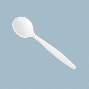 8 inch Soup Spoon