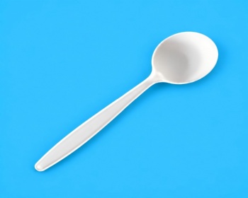 8 inch Soup Spoon
